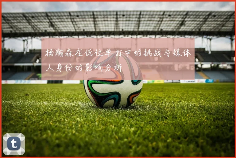 杨瀚森在低位单打中的挑战与媒体人身份的影响分析