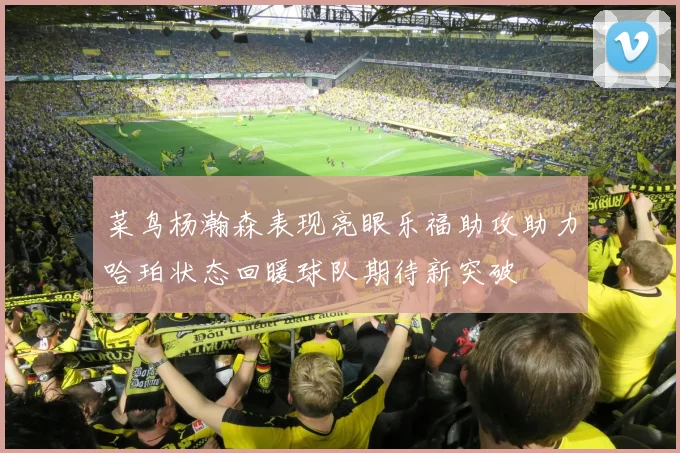 菜鸟杨瀚森表现亮眼乐福助攻助力哈珀状态回暖球队期待新突破