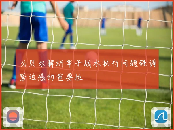 戈贝尔解析华子战术执行问题强调紧迫感的重要性